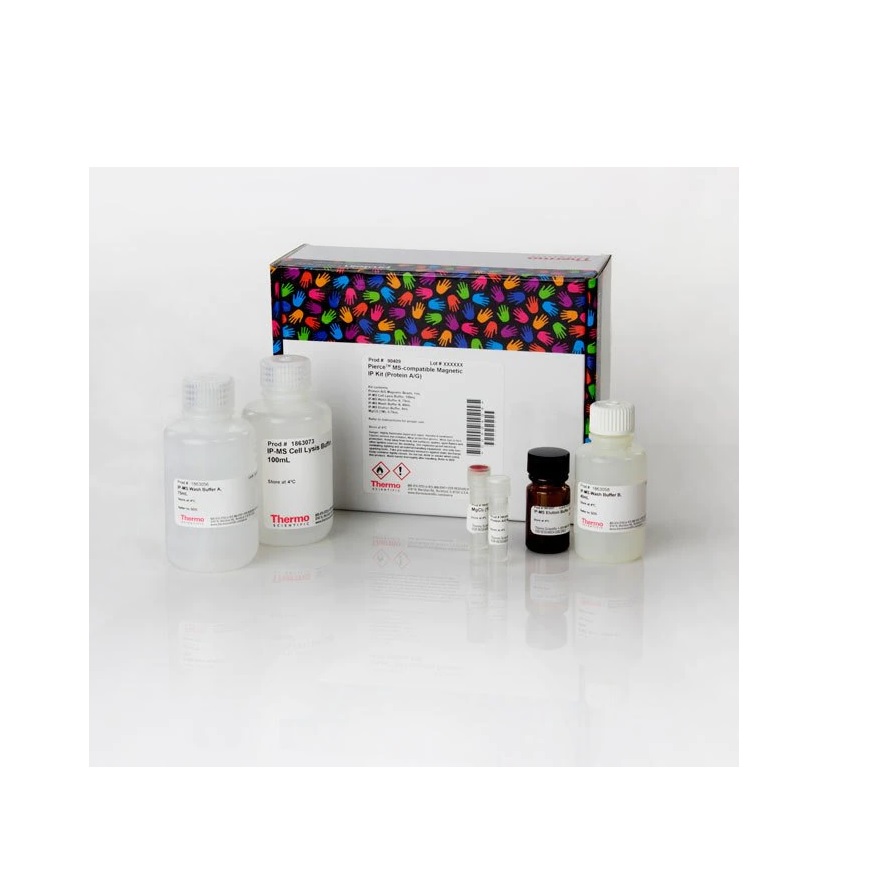 Thermo Scientific™ Pierce™ MS-Compatible Magnetic IP Kit, protein A/G