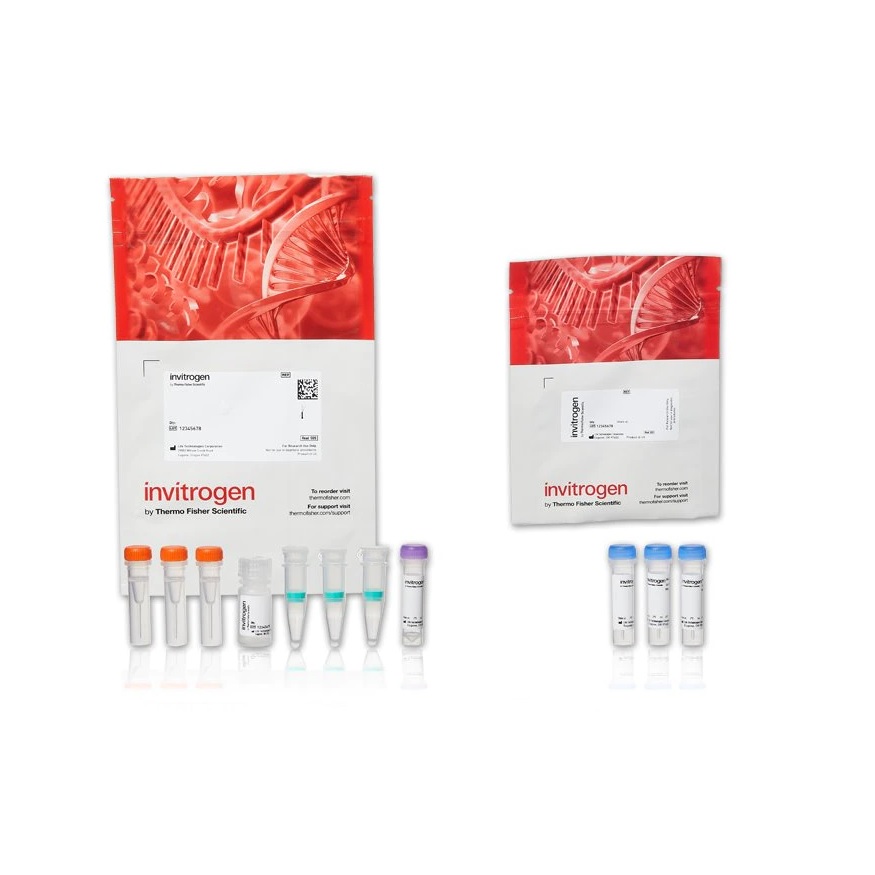 Invitrogen™ Alexa Fluor™ 594 Microscale Protein Labeling Kit
