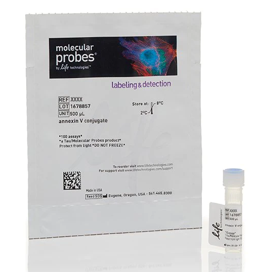 Invitrogen™ Annexin V Conjugates for Apoptosis Detection, Alexa Fluor 555