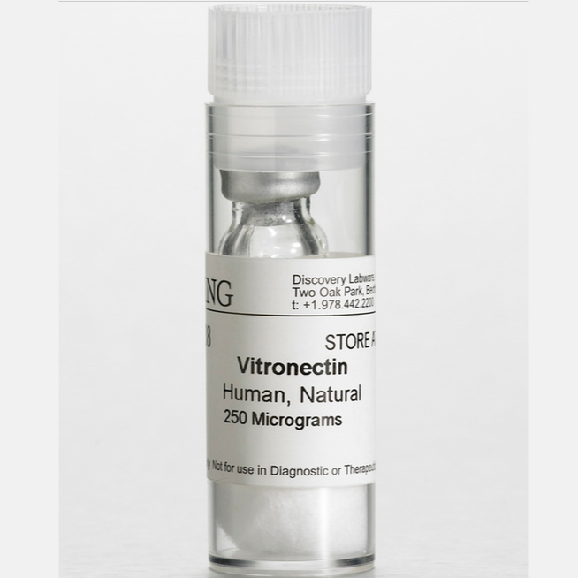 Corning® 0.25 mg Vitronectin, Human
