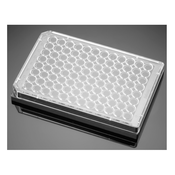 Corning® BioCoat® Collagen I 96-well Black/Clear Flat Bottom TC-treated Microplate, 80/Case