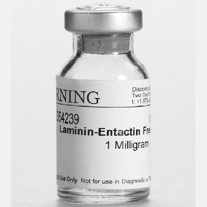 Corning® 1 mg Ultrapure Laminin, Mouse