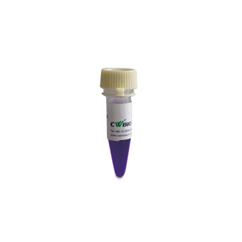 CWbio™, 2×Flash Hot Start MasterMix (Dye), 40 ml