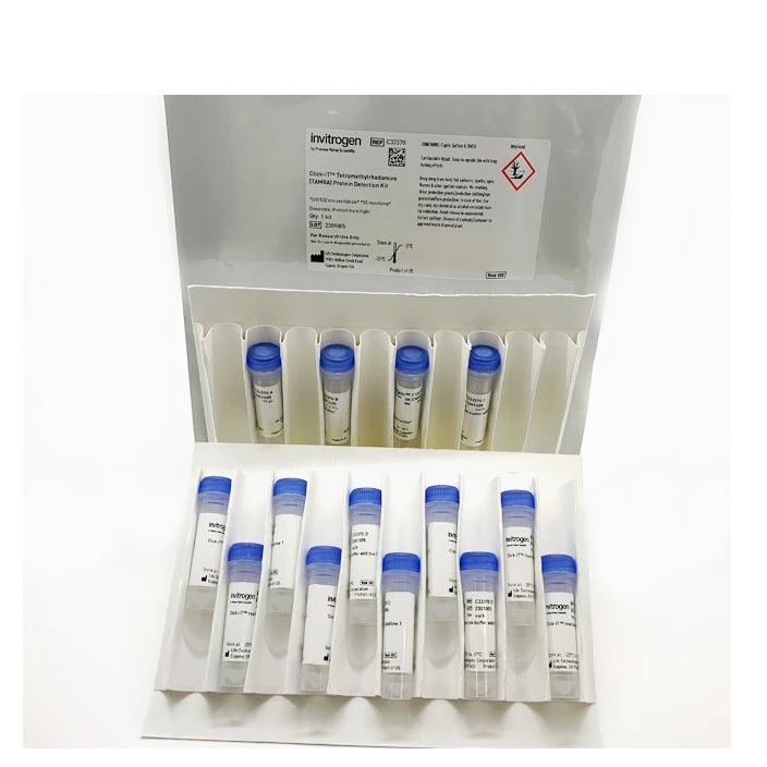 Invitrogen™ Click-IT™ Tetramethylrhodamine (TAMRA) Protein Analysis Detection Kit