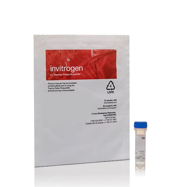 Invitrogen™ SYTO™ 60 Red Fluorescent Nucleic Acid Stain - 5 mM Solution in DMSO