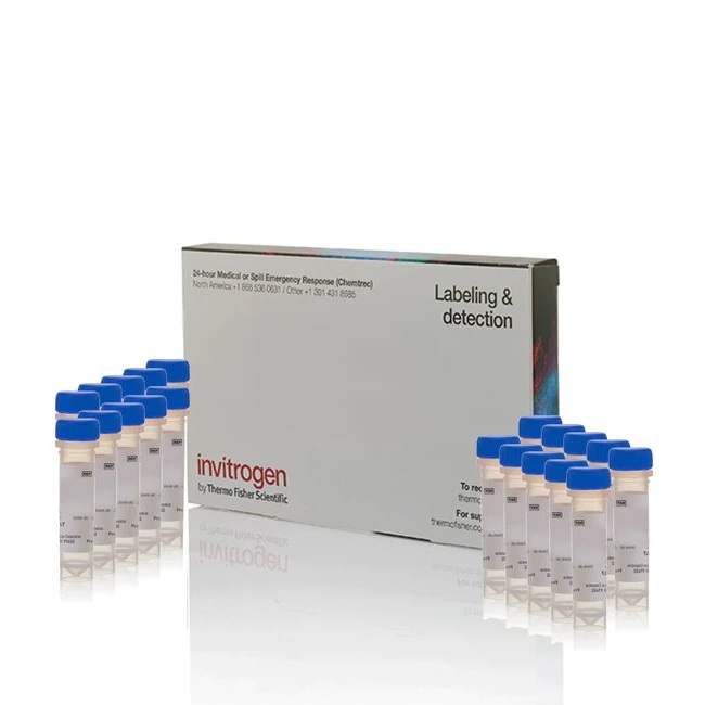 Invitrogen™ LysoTracker™ Green DND-26 - Special Packaging
