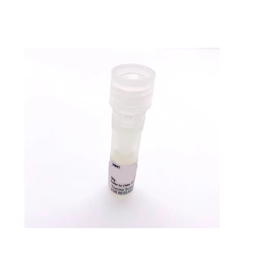 Thermo Scientific™ pCMV-Cypridina Luc Vector for Luciferase Assays