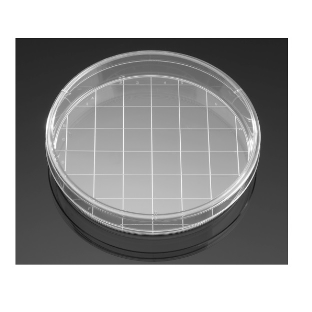 Falcon® TC-treated Cell Culture Dish With 20 mm Grid, 150 mm