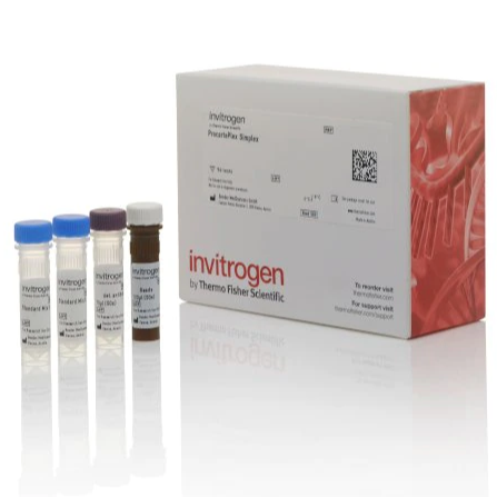 Invitrogen™ IL-4 Porcine ProcartaPlex™ Simplex Kit