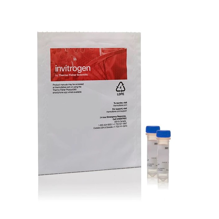 Invitrogen™ Zenon™ Mouse IgG2a Labeling Kit, APC (Allophycocyanin)