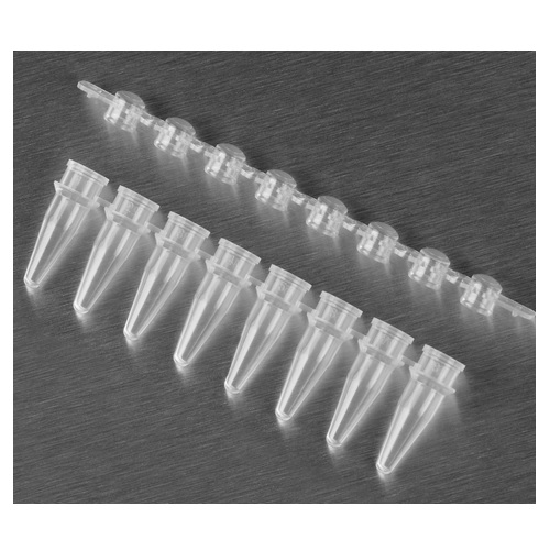 Axygen® Polypropylene PCR Tube Strips and Domed Cap Strips, 8 Tubes/Strip, 8 Domed Caps/Strip, Clear, Nonsterile, 0.2 mL