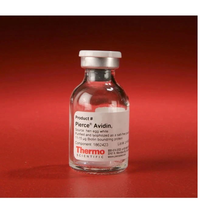 Thermo Scientific™ Pierce™ Avidin, 10 mg