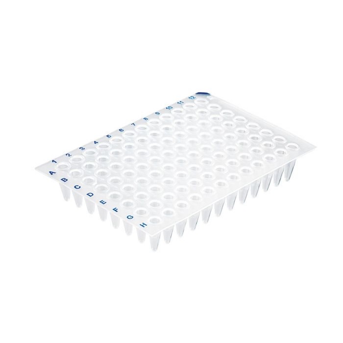 BRAND™ PCR Plate 96-well, Low Profile, Transparent, Non-Skirted, BIO-CERT® PCR Quality