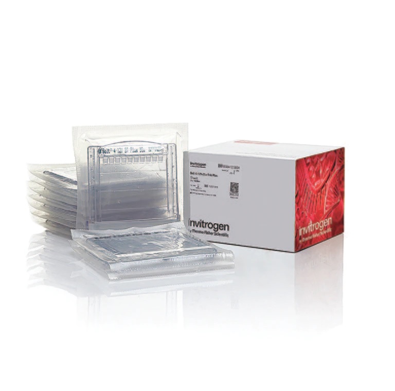 Invitrogen™ NuPAGE™ Tris-Acetate SDS Buffer Kit (for Tris-Acetate Gels)