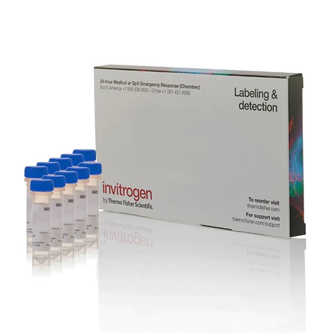 Invitrogen™ Glutathione Ethyl Ester, Biotin Amide (BioGEE) (Glutathiolation Detection Reagent) - Special Packaging