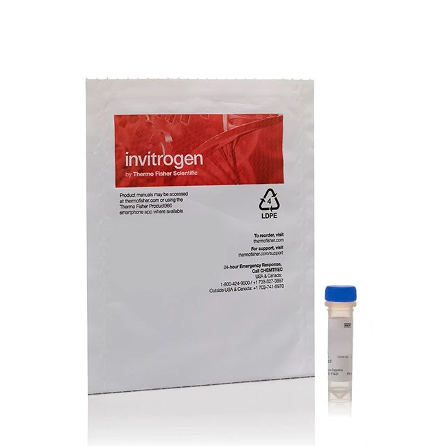 Invitrogen™ Fluo-3, AM, Calcium Indicator, 1 mg