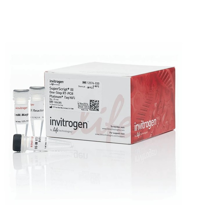 Invitrogen™ SuperScript™ III One-Step RT-PCR System with Platinum™ Taq High Fidelity DNA Polymerase, 100 Reactions