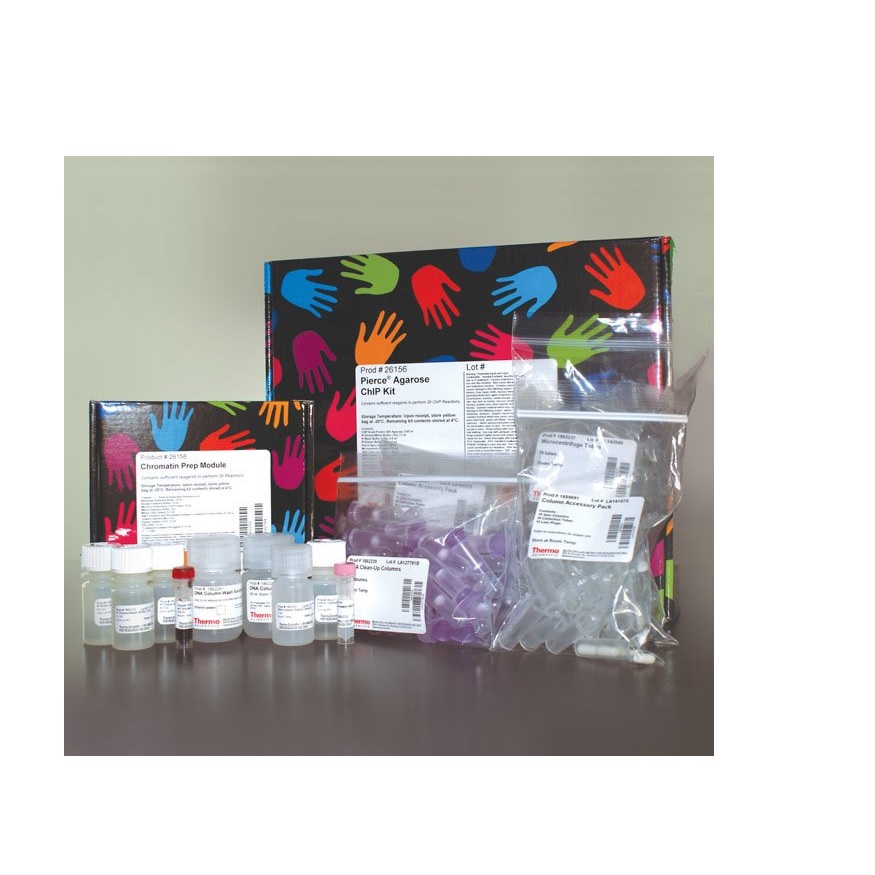 Thermo Scientific™ Pierce™ Agarose ChIP Kit