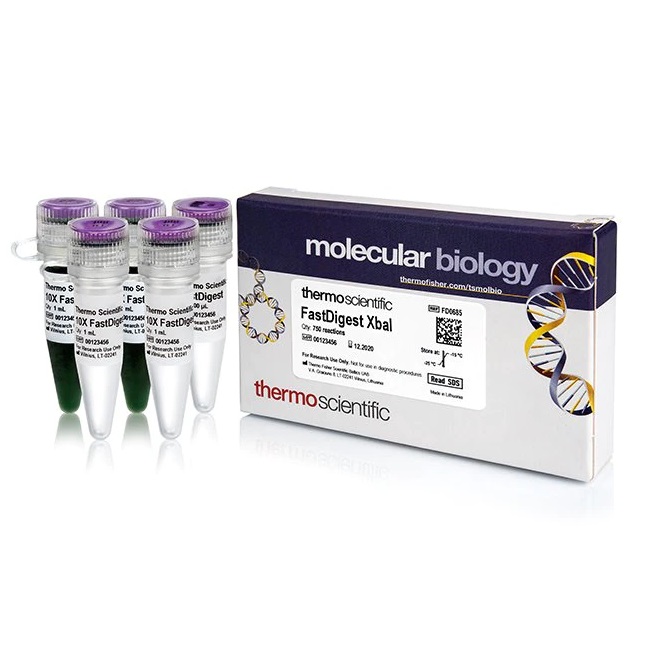 Thermo Scientific™ FastDigest XbaI, 750 reactions