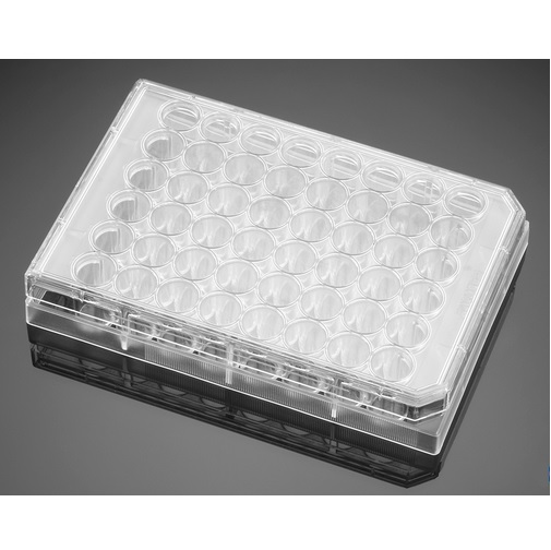 Corning® BioCoat® Poly-D-Lysine 48-well Clear Flat Bottom TC-treated Multiwell Plate, with Lid, 50/Case