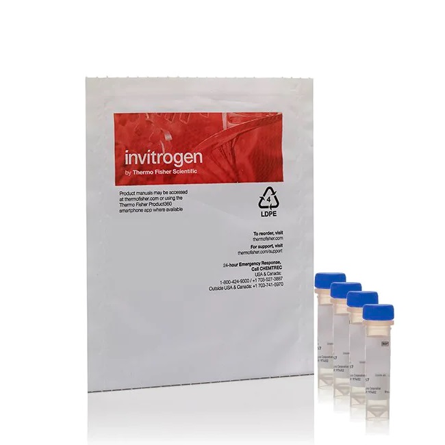 Invitrogen™ Wheat Germ Agglutinin Sampler Kit - Four Fluorescent Conjugates, 1 mg each