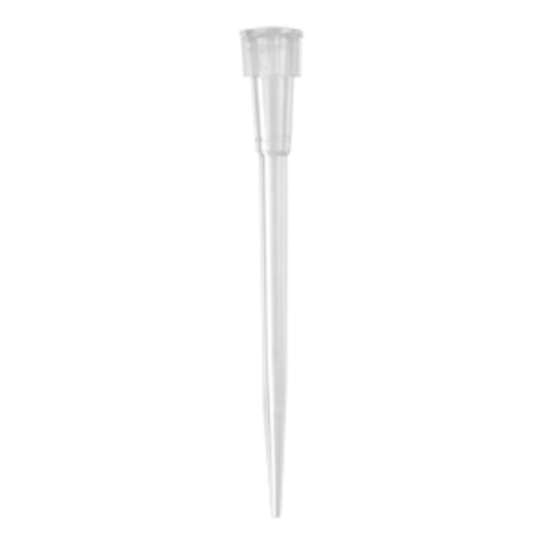 Axygen® 10 µL Maxymum Recovery® Microvolume Pipet Tips, Non-Filtered, Clear, Long Length, Rack Pack