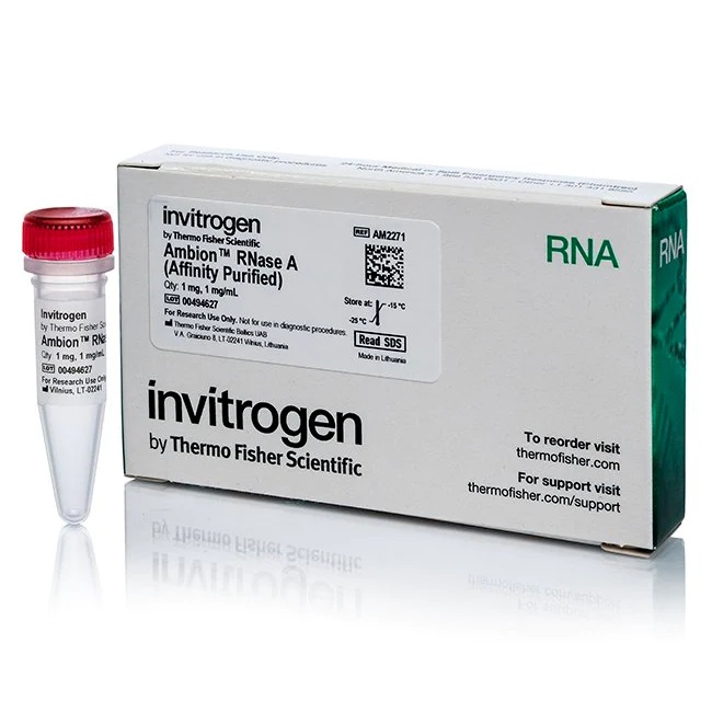 Invitrogen™ Ambion™ RNase A, affinity purified, 1 mg/mL, 1 mg