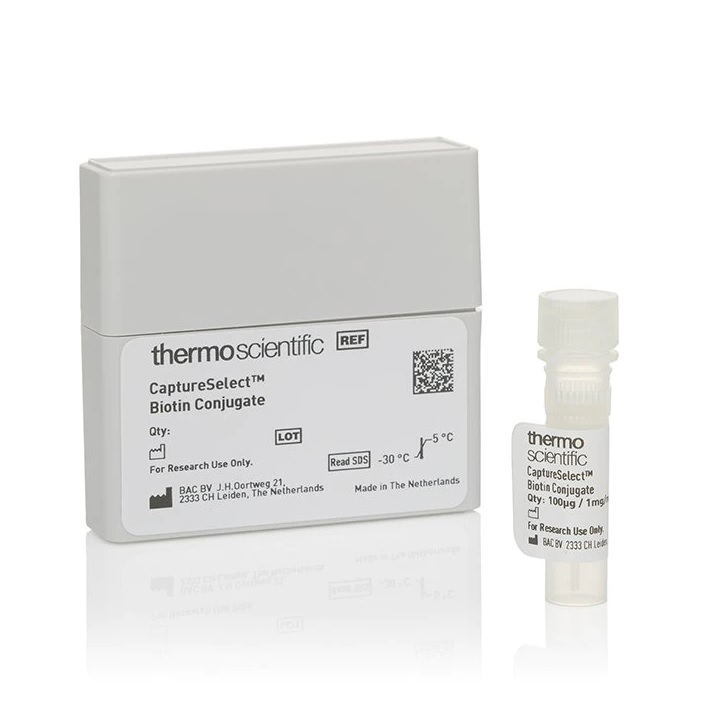 Thermo Scientific™ CaptureSelect™ Biotin Anti-LC-lambda Mouse Conjugate, 100 µg