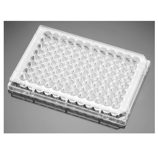 Falcon® 96-well Clear Flat Bottom TC-treated Microtest Cell Culture Microplate, with Lid, Sterile