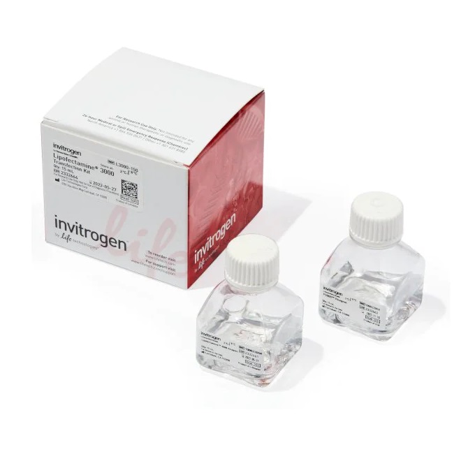 Invitrogen™ Lipofectamine™ 3000 Transfection Reagent, 15 ml