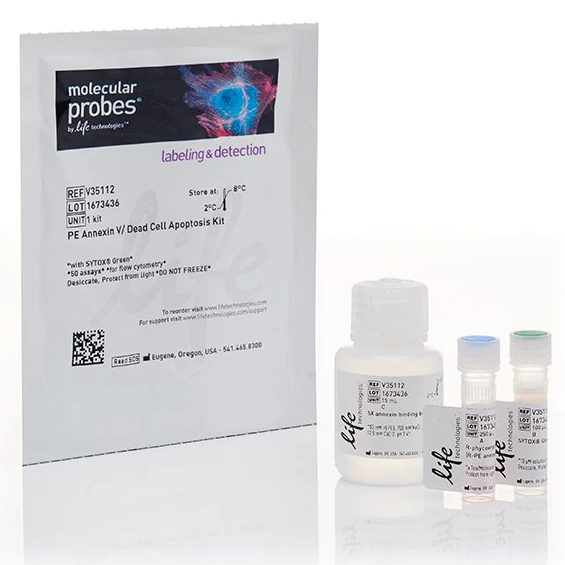 Invitrogen™ Dead Cell Apoptosis Kits with Annexin V for Flow Cytometry, SYTOX Green, APC, 50 Assays