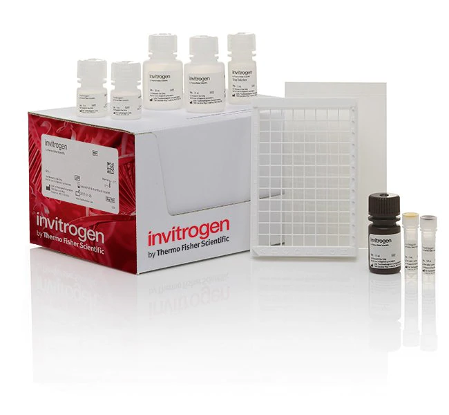 Invitrogen™ Urea Nitrogen (BUN) Colorimetric Detection Kit
