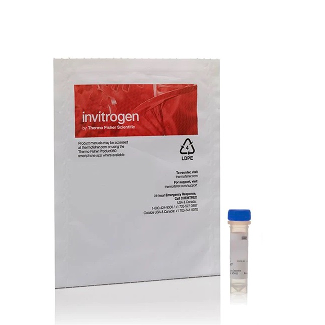 Invitrogen™ NeuroTrace™ 640/660 Deep-Red Fluorescent Nissl Stain - Solution in DMSO