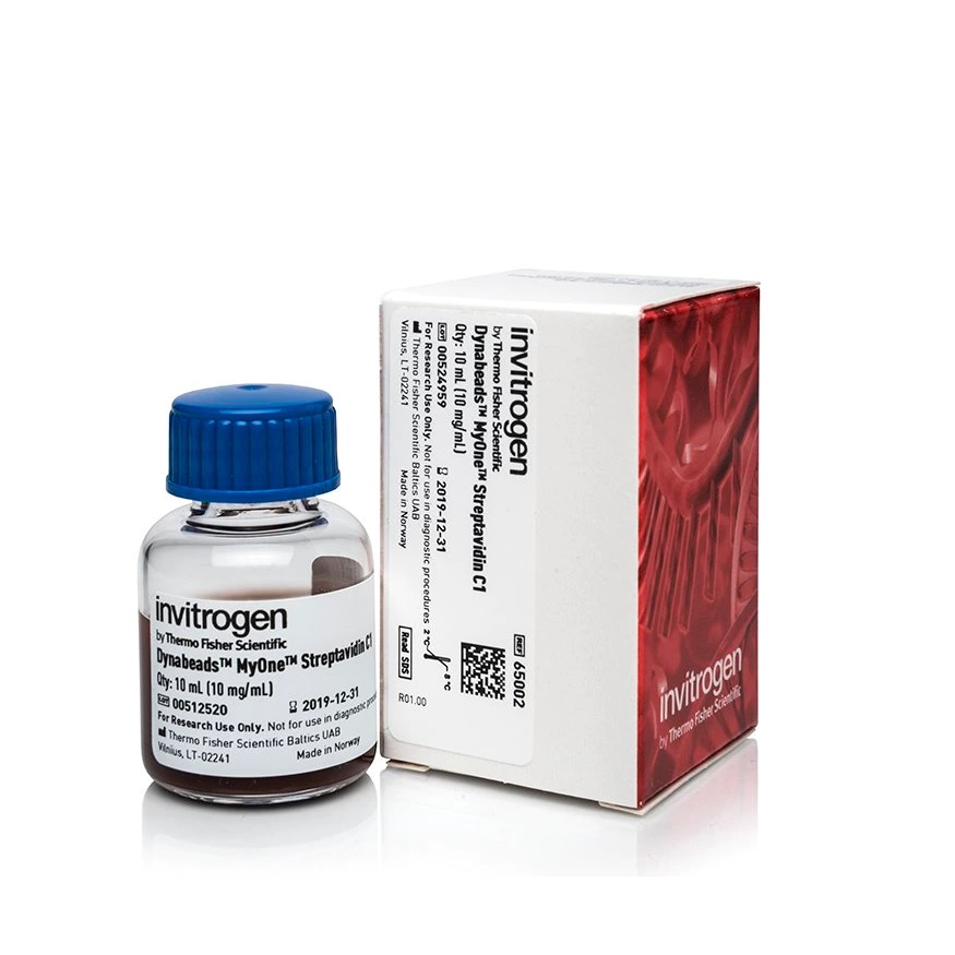 Invitrogen™ Dynabeads™ MyOne™ Streptavidin C1, 10 mL