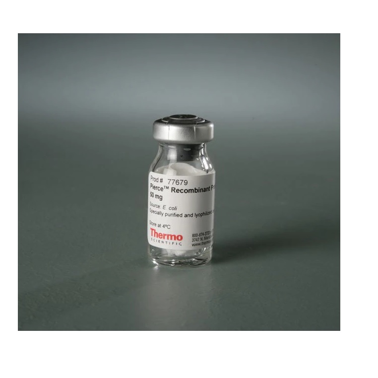 Thermo Scientific™ Pierce™ Recombinant Protein L, 500 mg