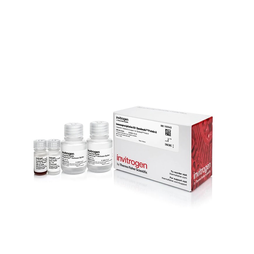 Invitrogen™ Dynabeads™ Protein A Immunoprecipitation Kit, 40 Reactions