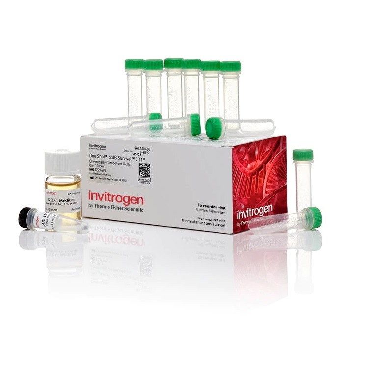 Gibco™ MAX Efficiency™ DH10Bac Competent Cells