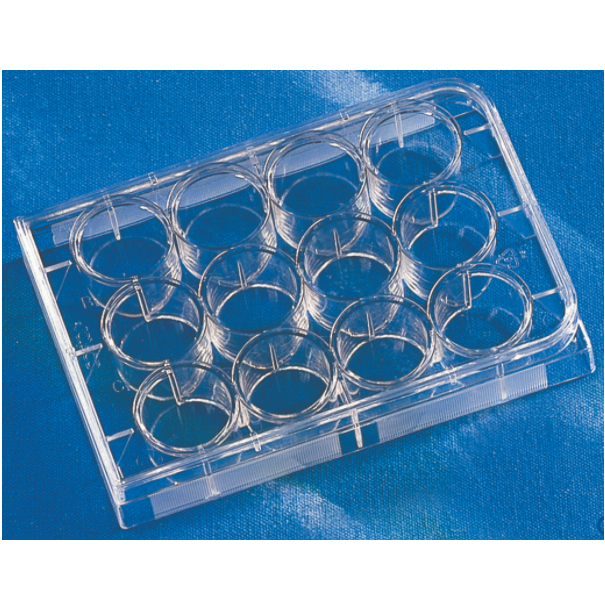 Costar® 12-well Clear TC-treated Multiple Well Plates, Bulk Pack, Sterile