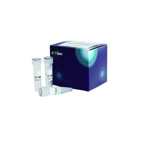 CWbio™, Quick DNA Ligation Kit, 100 rxns