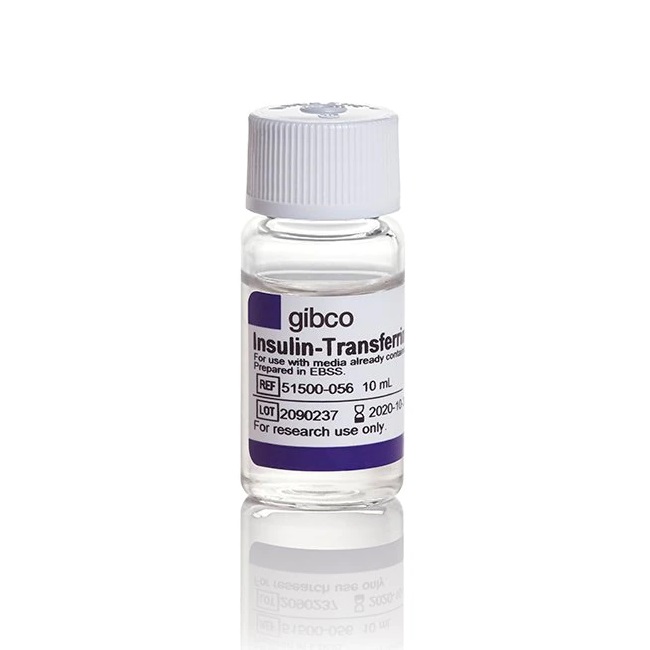 Gibco™ Insulin-Transferrin-Selenium-Ethanolamine (ITS -X) (100X)