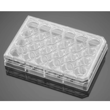 Corning® BioCoat® Collagen I Inserts with 0.4 µm PET Membrane in two 24-well Plates