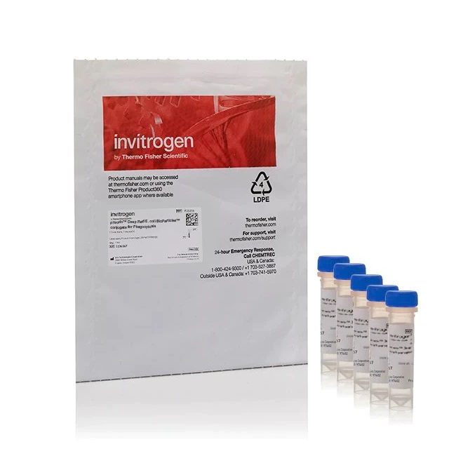 Invitrogen™ pHrodo™ Green Zymosan Bioparticles™ Conjugate for Phagocytosis