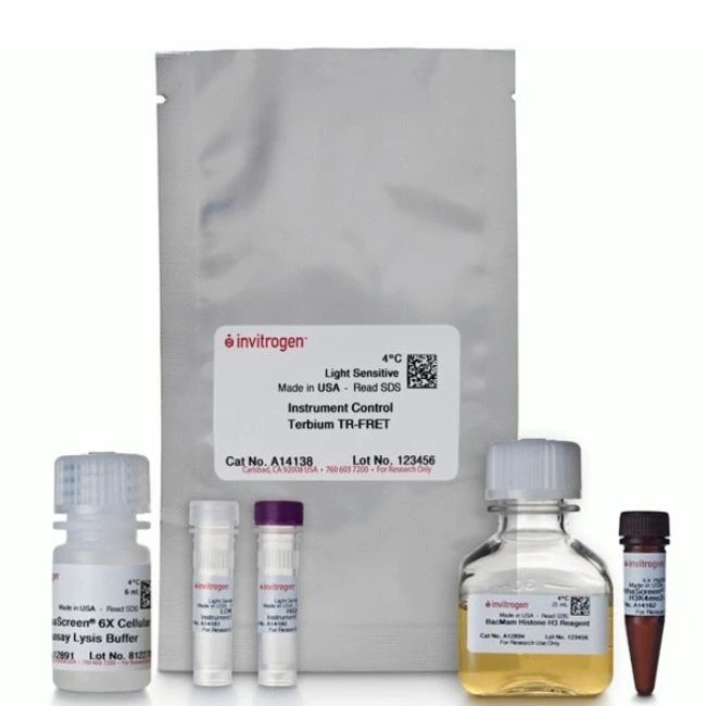 Invitrogen™ BacMam Histone H3K4me3 Cellular Assay Kit