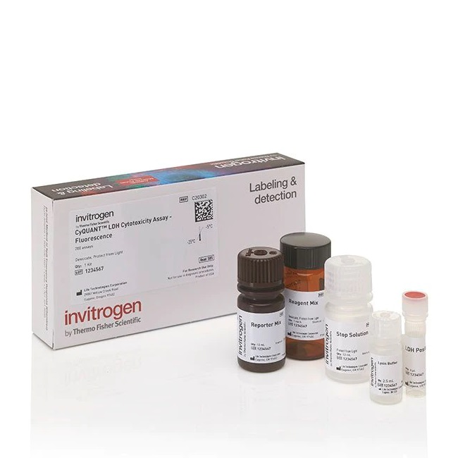 Invitrogen™ CyQUANT™ LDH Cytotoxicity Assay, fluorescence, 200 assays