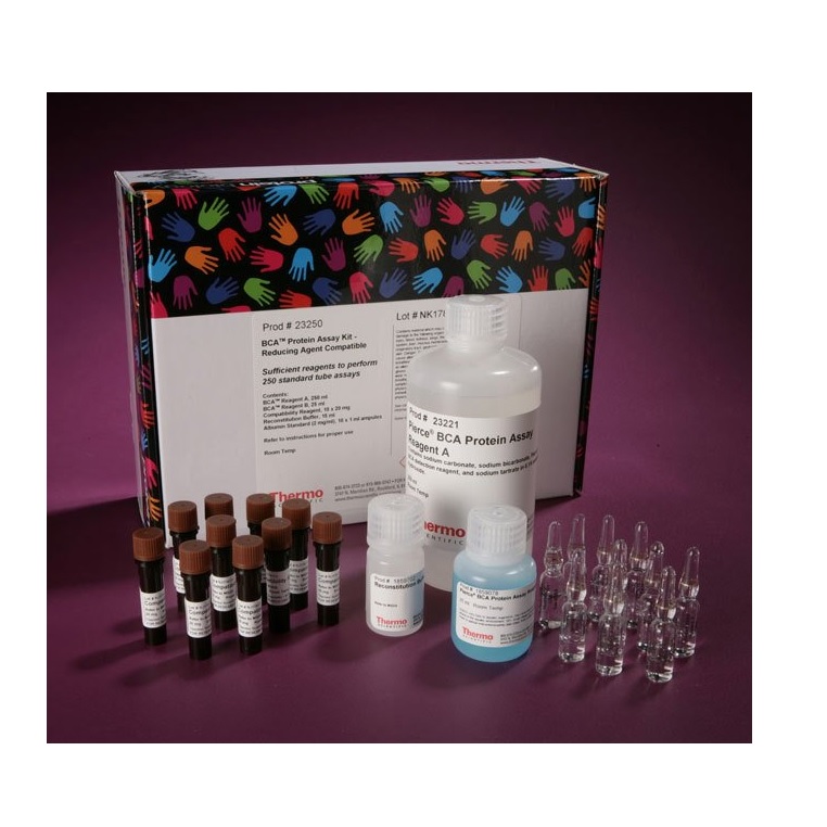 Thermo Scientific™ Pierce™ BCA Protein Assay Kit - Reducing Agent Compatible