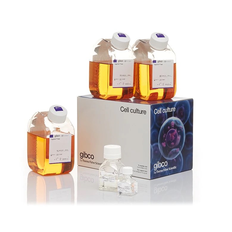 Gibco™ ExpiFectamine™ CHO Transfection Kit, For 50 L of culture