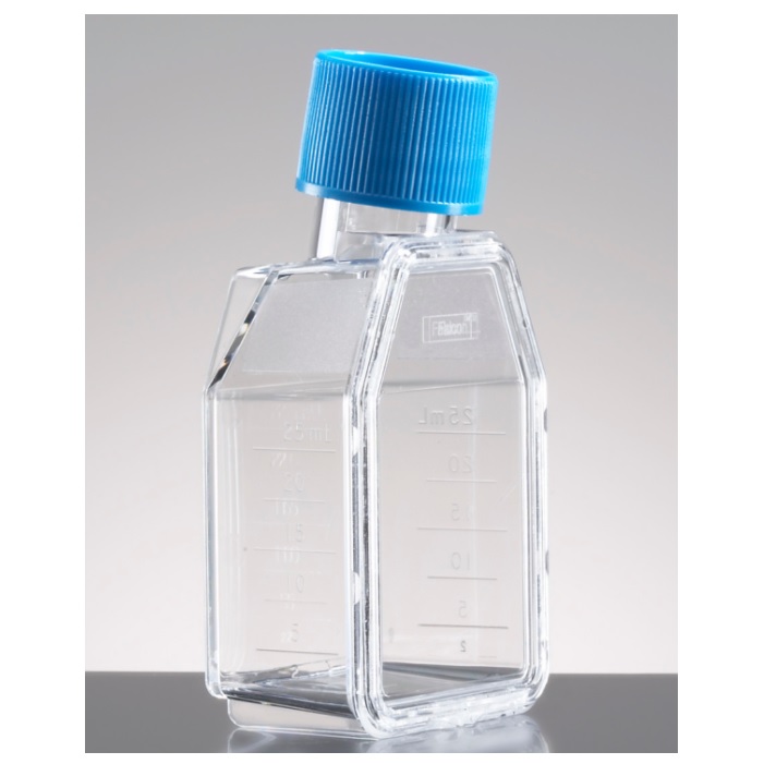 Corning® BioCoat® Poly-D-Lysine 25 cm² Rectangular Canted Neck Cell Culture Flask with Blue Vented Screw Cap