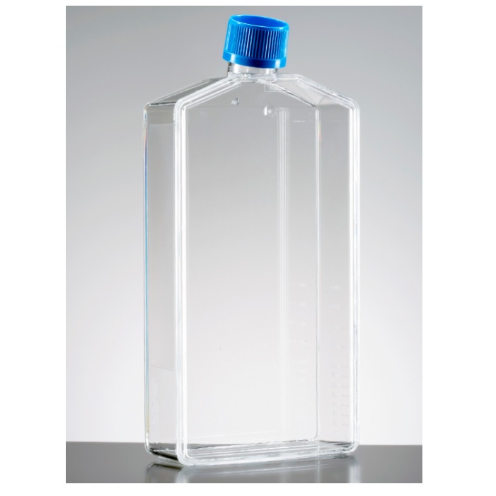 Falcon® Rectangular Canted Neck Cell Culture Flask With Vented Cap, 225 cm²