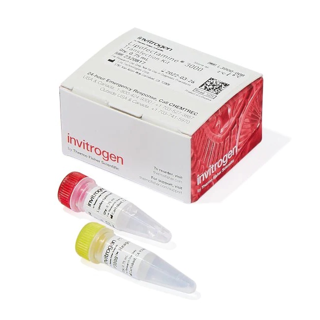 Invitrogen™ Lipofectamine™ 3000 Transfection Reagent, 0.75 mL