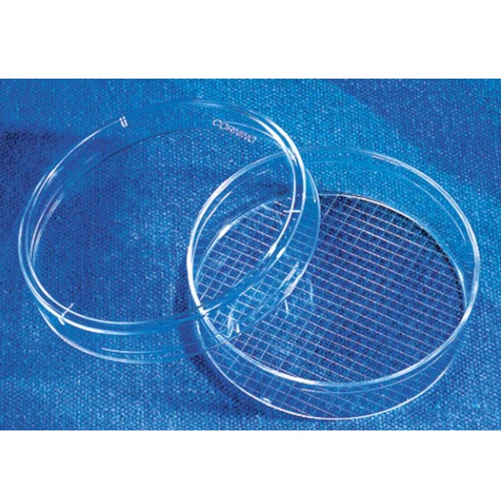 Corning® With 2 mm Grid TC-treated Culture Dish, 60 mm